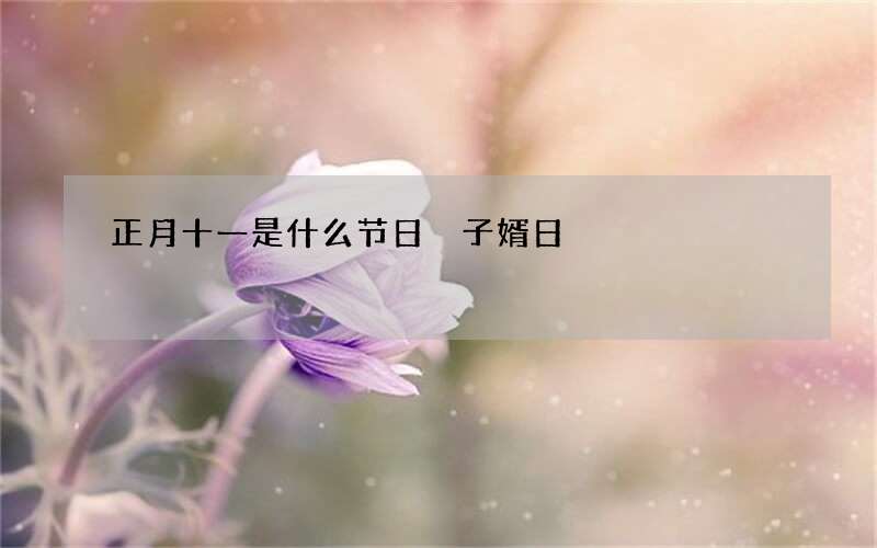 正月十一是什么节日 子婿日